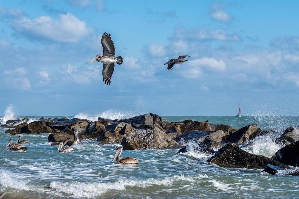 Island-Life! A Appartement Fort Pierce Buitenkant foto
